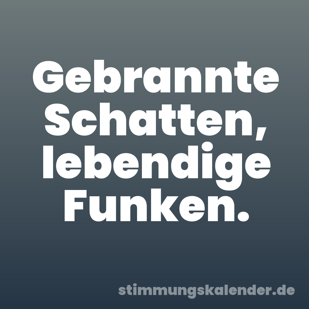 Gebrannte Schatten, lebendige Funken.