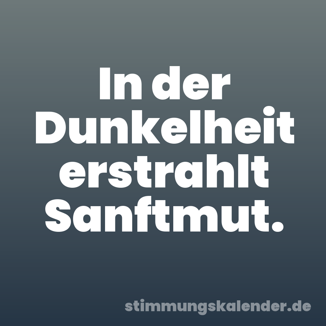 In der Dunkelheit erstrahlt Sanftmut.