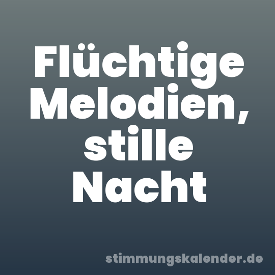 Flüchtige Melodien, stille Nacht