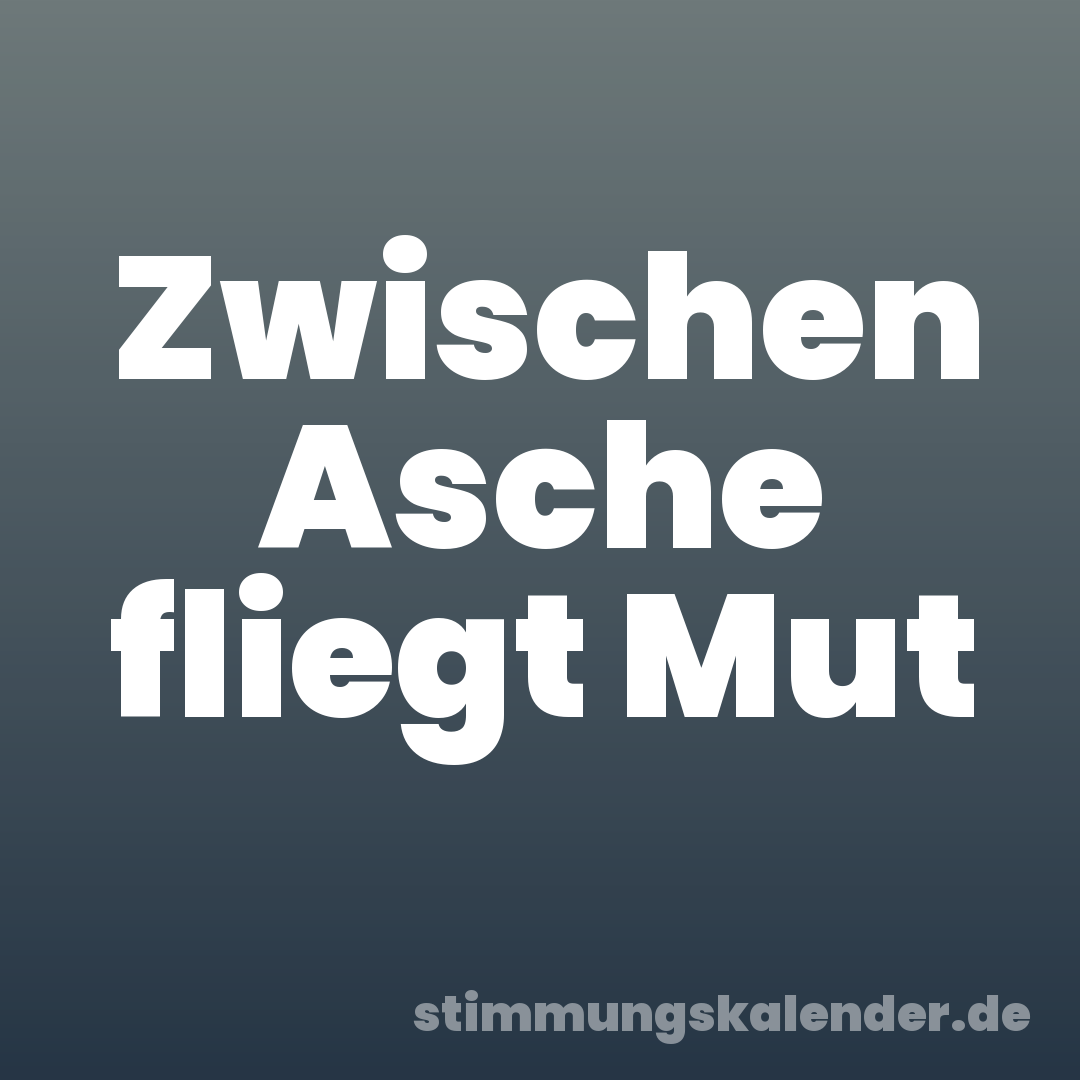 Zwischen Asche fliegt Mut