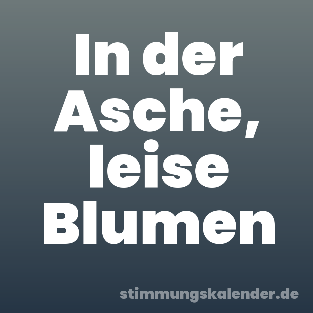 In der Asche, leise Blumen