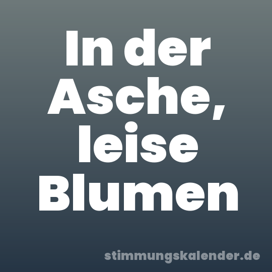 In der Asche, leise Blumen