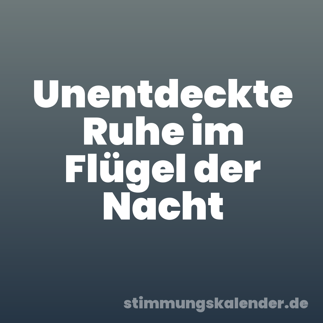 Unentdeckte Ruhe im Flügel der Nacht