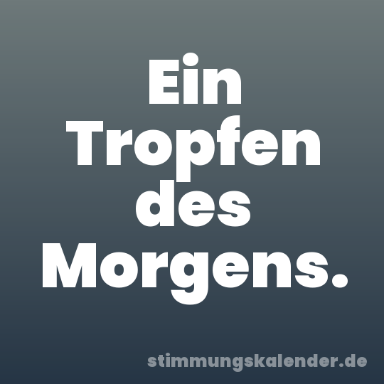 Ein Tropfen des Morgens.