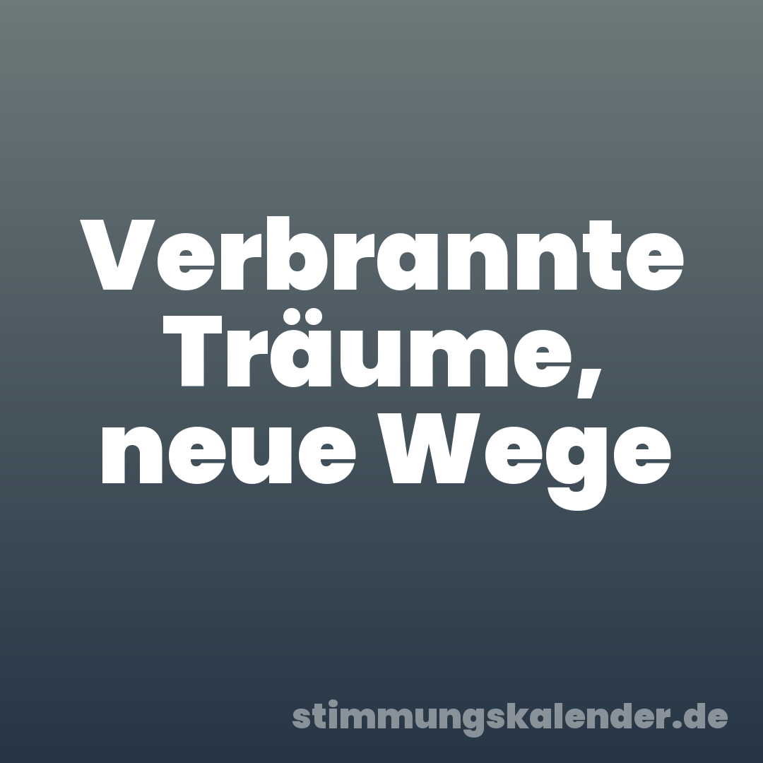 Verbrannte Träume, neue Wege