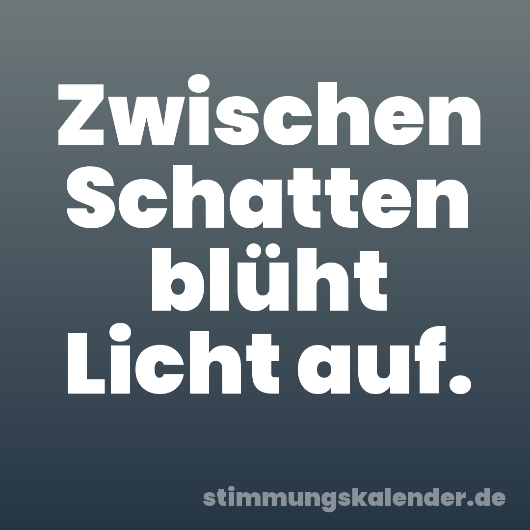 Zwischen Schatten blüht Licht auf.