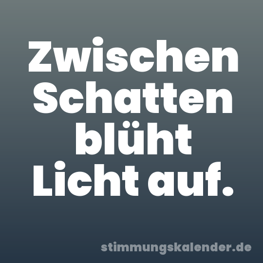 Zwischen Schatten blüht Licht auf.