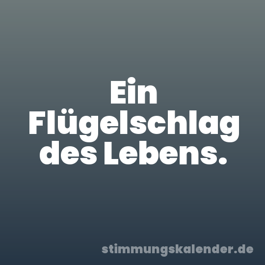 Ein Flügelschlag des Lebens.