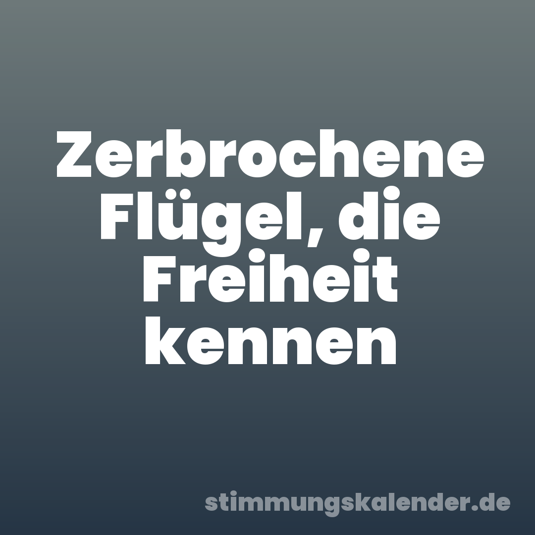 Zerbrochene Flügel, die Freiheit kennen