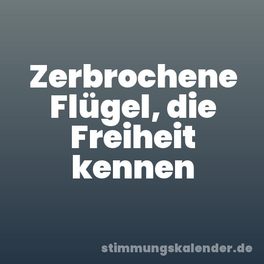 Zerbrochene Flügel, die Freiheit kennen