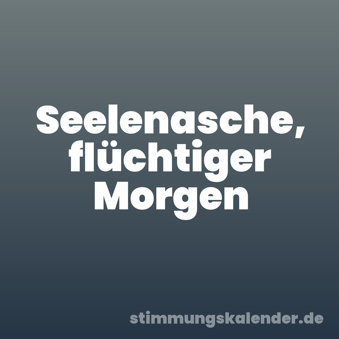 Seelenasche, flüchtiger Morgen