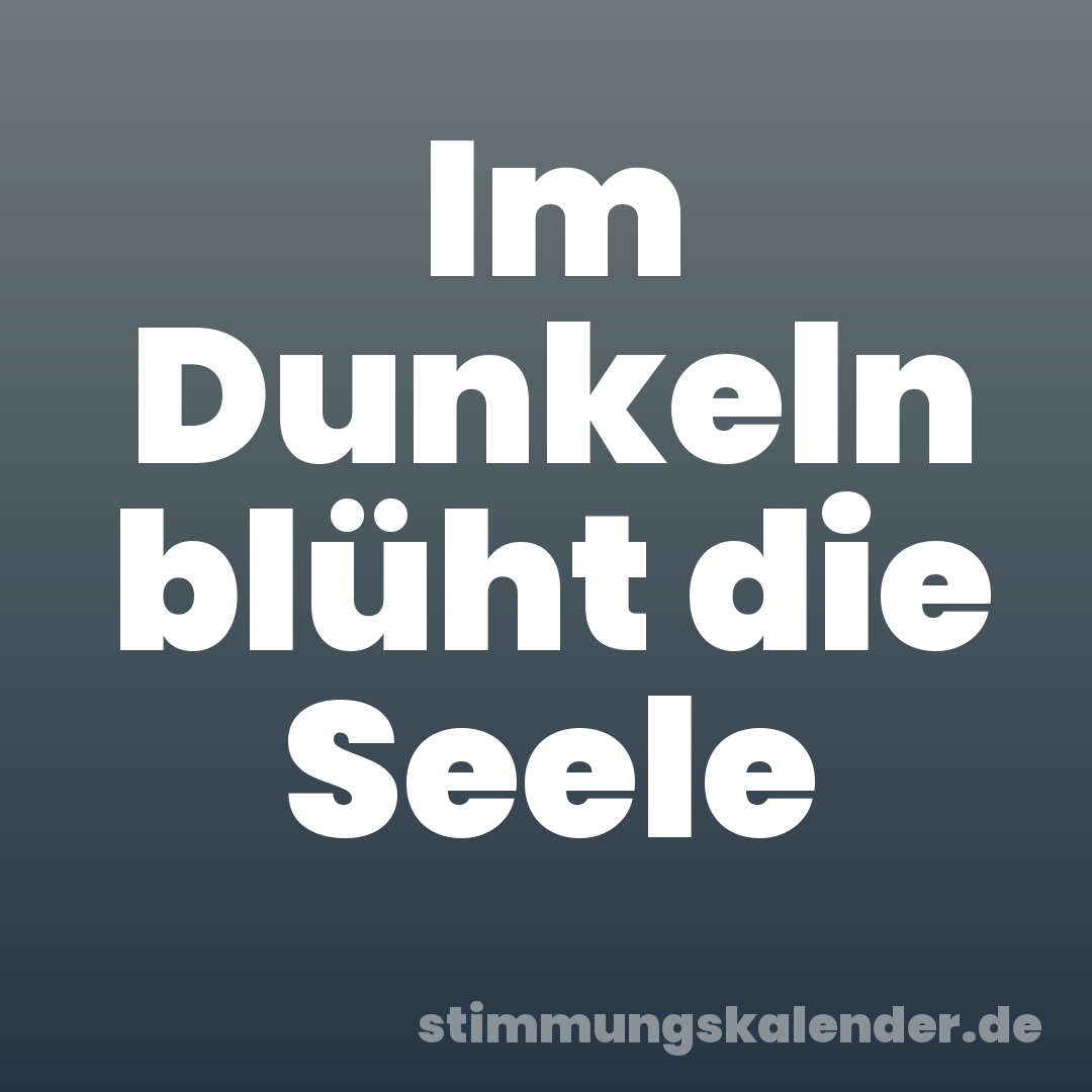 Im Dunkeln blüht die Seele