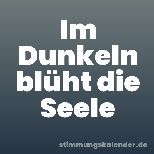 Im Dunkeln blüht die Seele