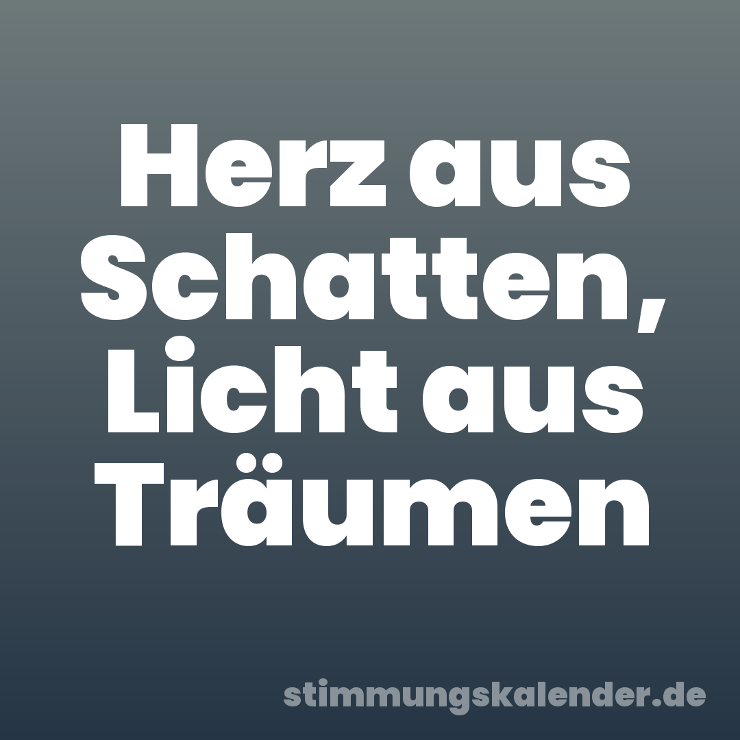 Herz aus Schatten, Licht aus Träumen