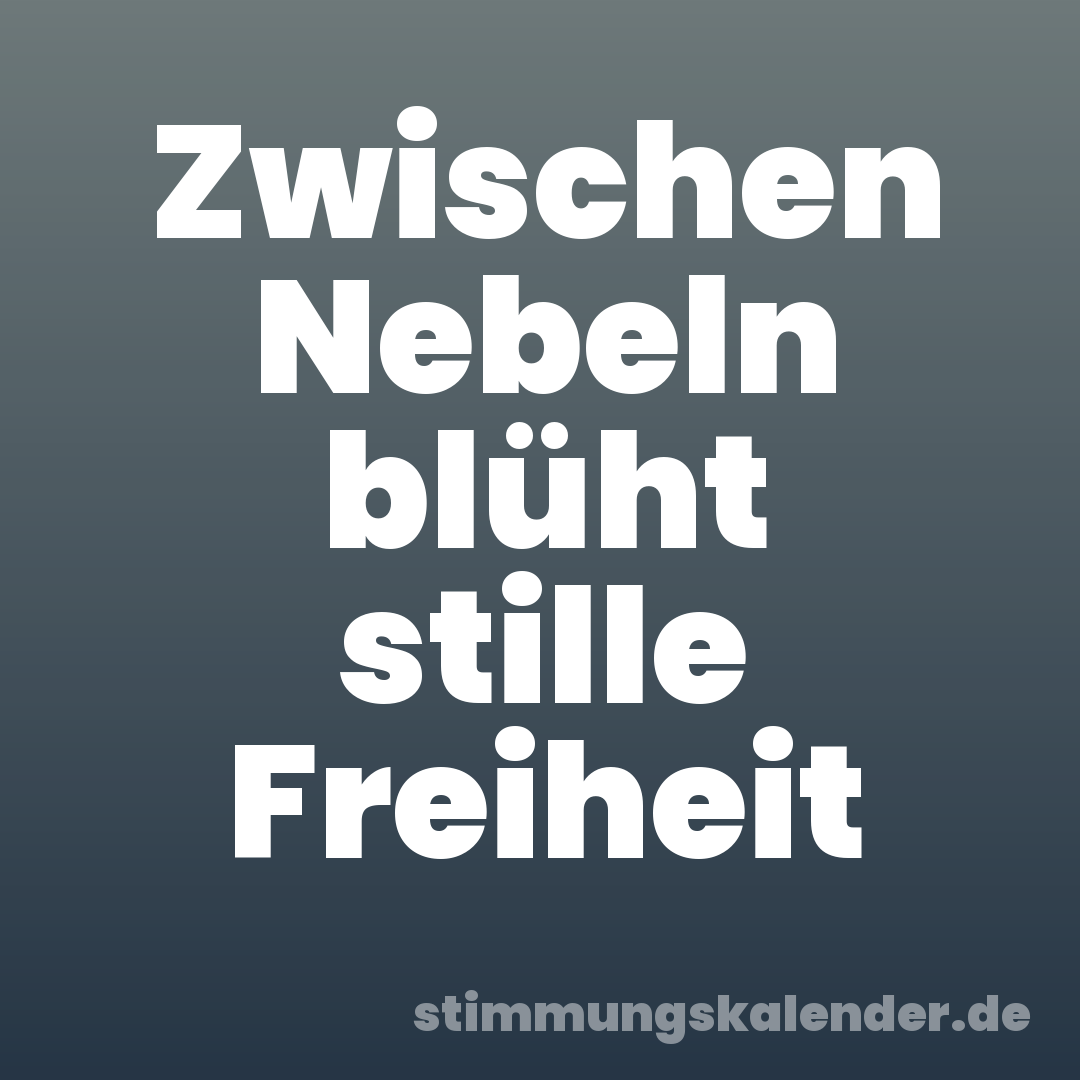 Zwischen Nebeln blüht stille Freiheit