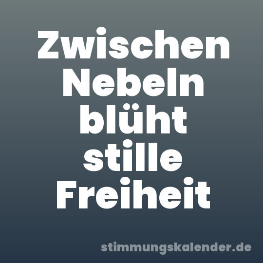 Zwischen Nebeln blüht stille Freiheit