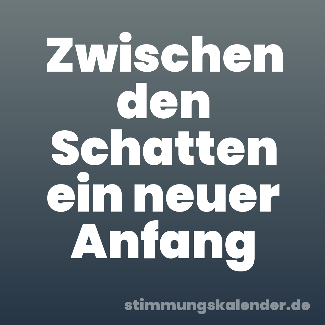 Zwischen den Schatten ein neuer Anfang