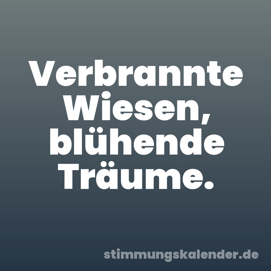 Verbrannte Wiesen, blühende Träume.