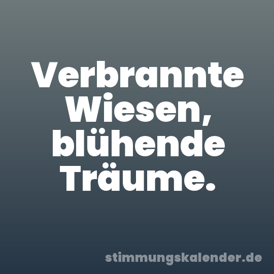 Verbrannte Wiesen, blühende Träume.
