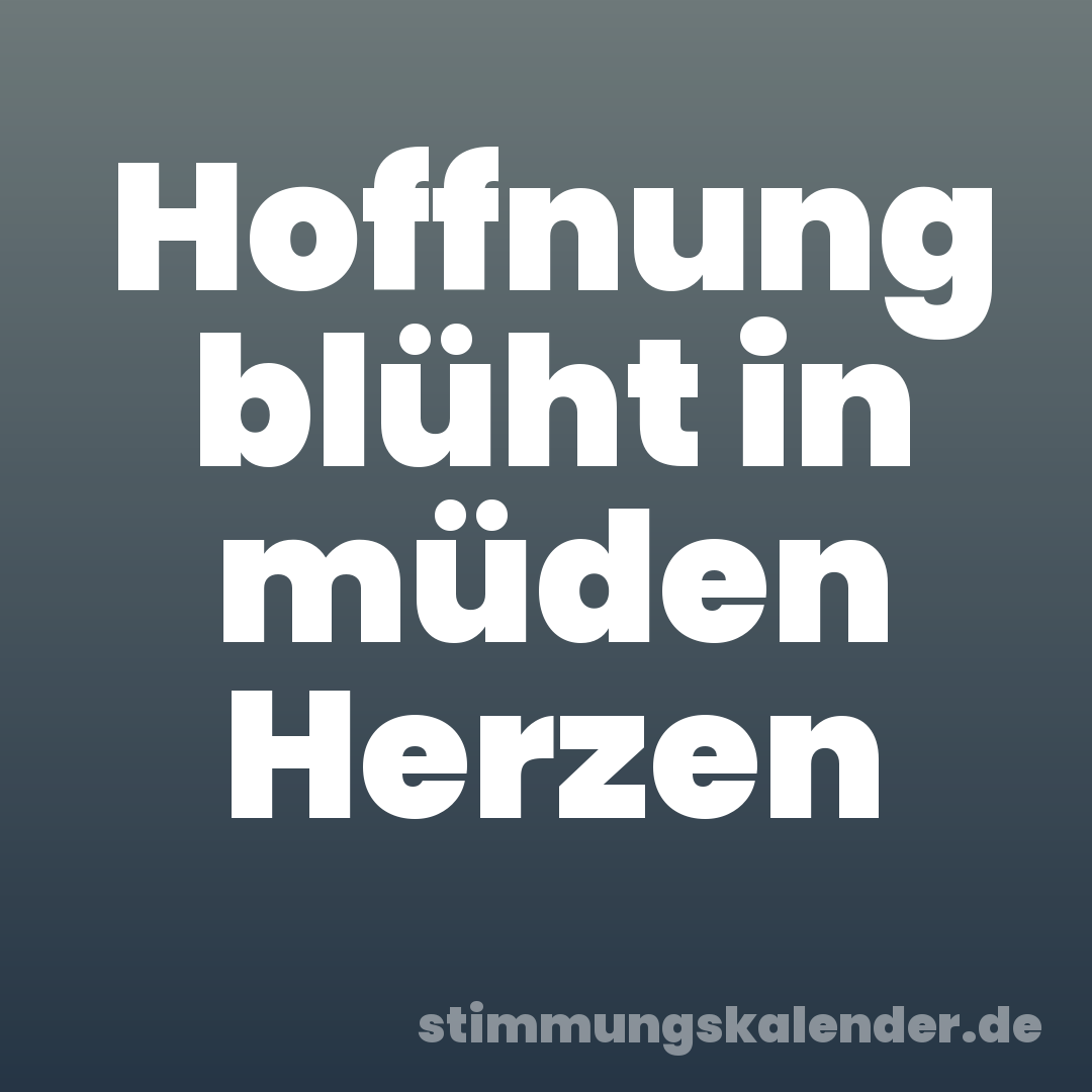 Hoffnung blüht in müden Herzen