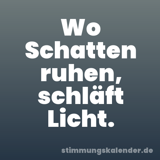 Wo Schatten ruhen, schläft Licht.