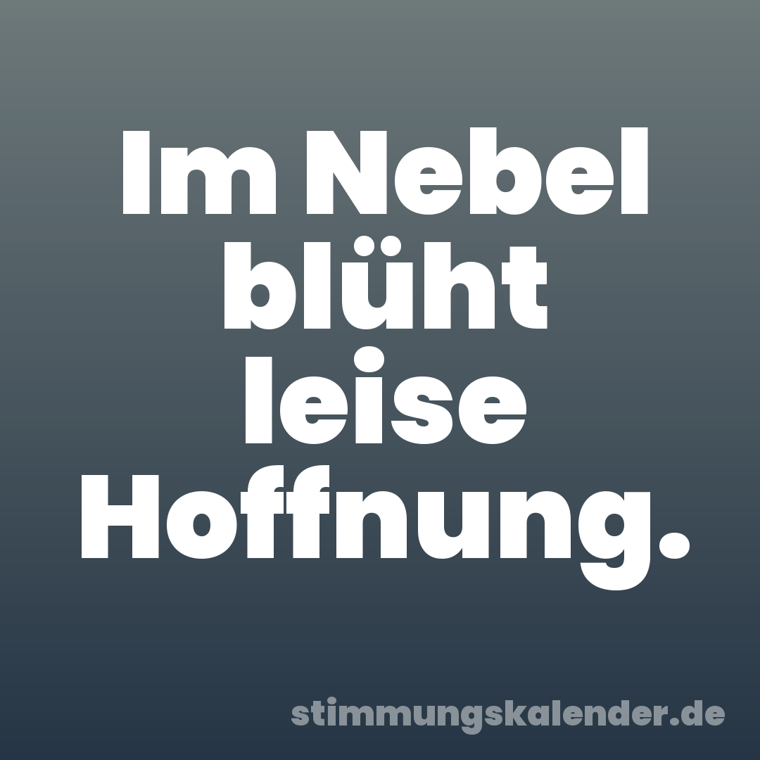 Im Nebel blüht leise Hoffnung.