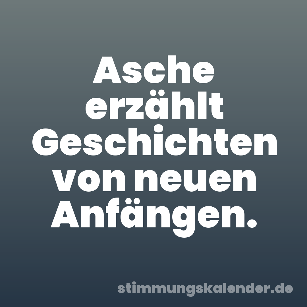 Asche erzählt Geschichten von neuen Anfängen.