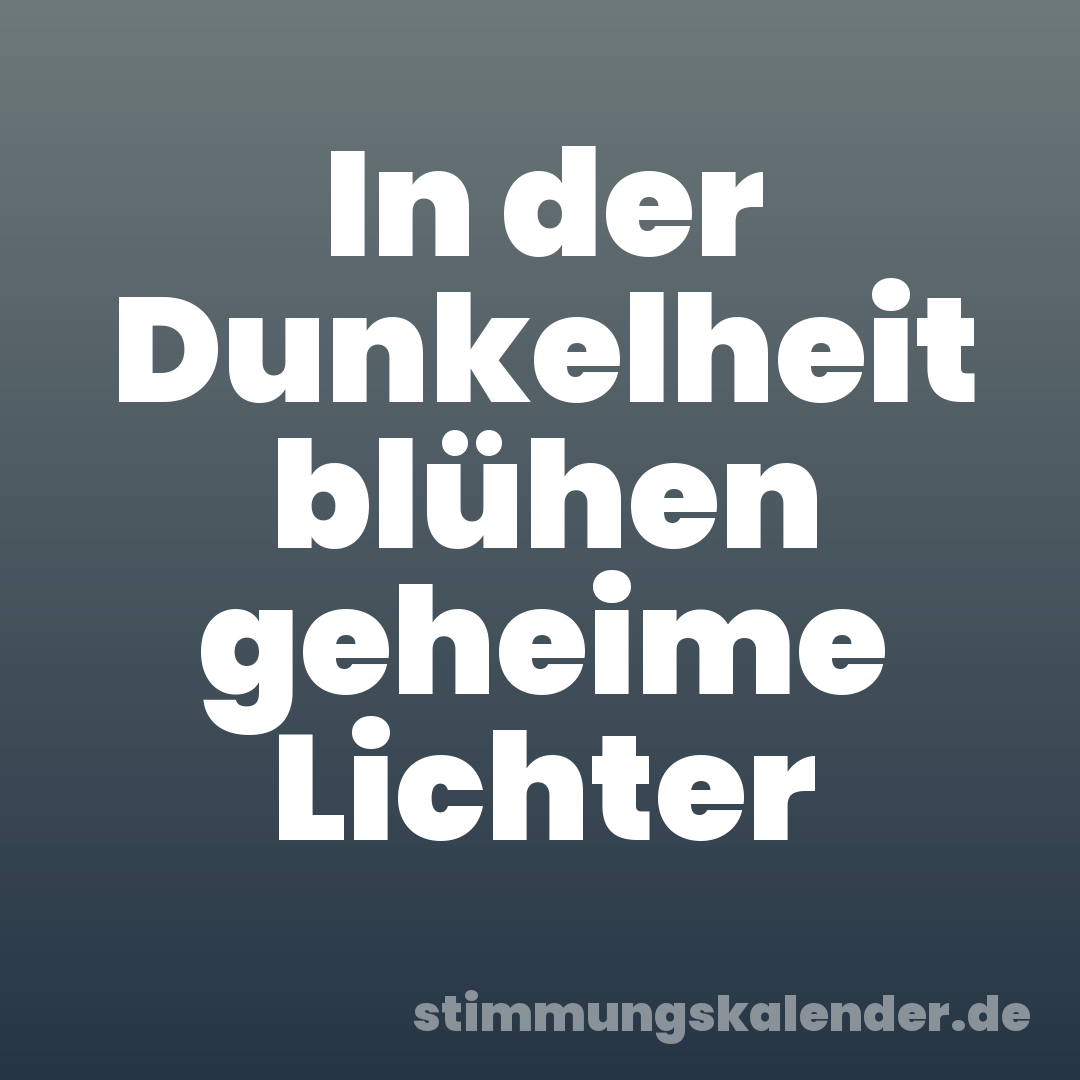 In der Dunkelheit blühen geheime Lichter