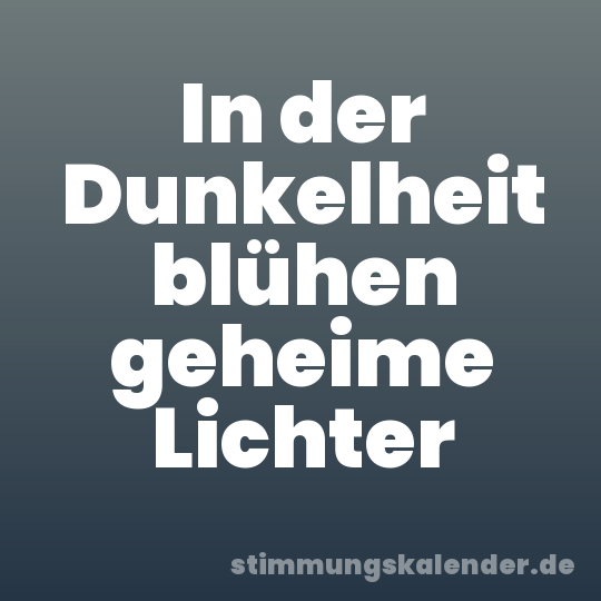 In der Dunkelheit blühen geheime Lichter
