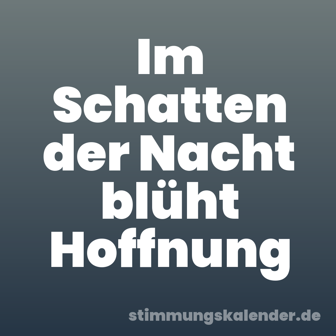 Im Schatten der Nacht blüht Hoffnung