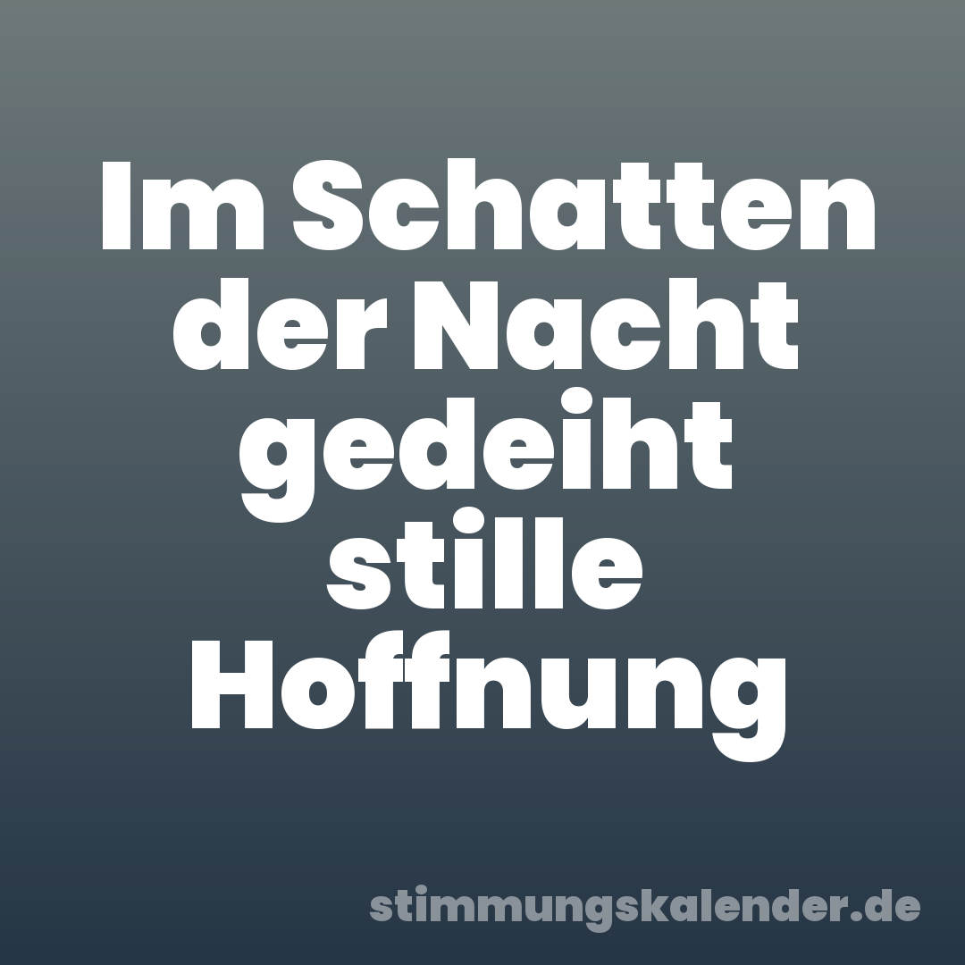 Im Schatten der Nacht gedeiht stille Hoffnung