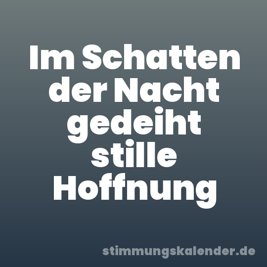 Im Schatten der Nacht gedeiht stille Hoffnung