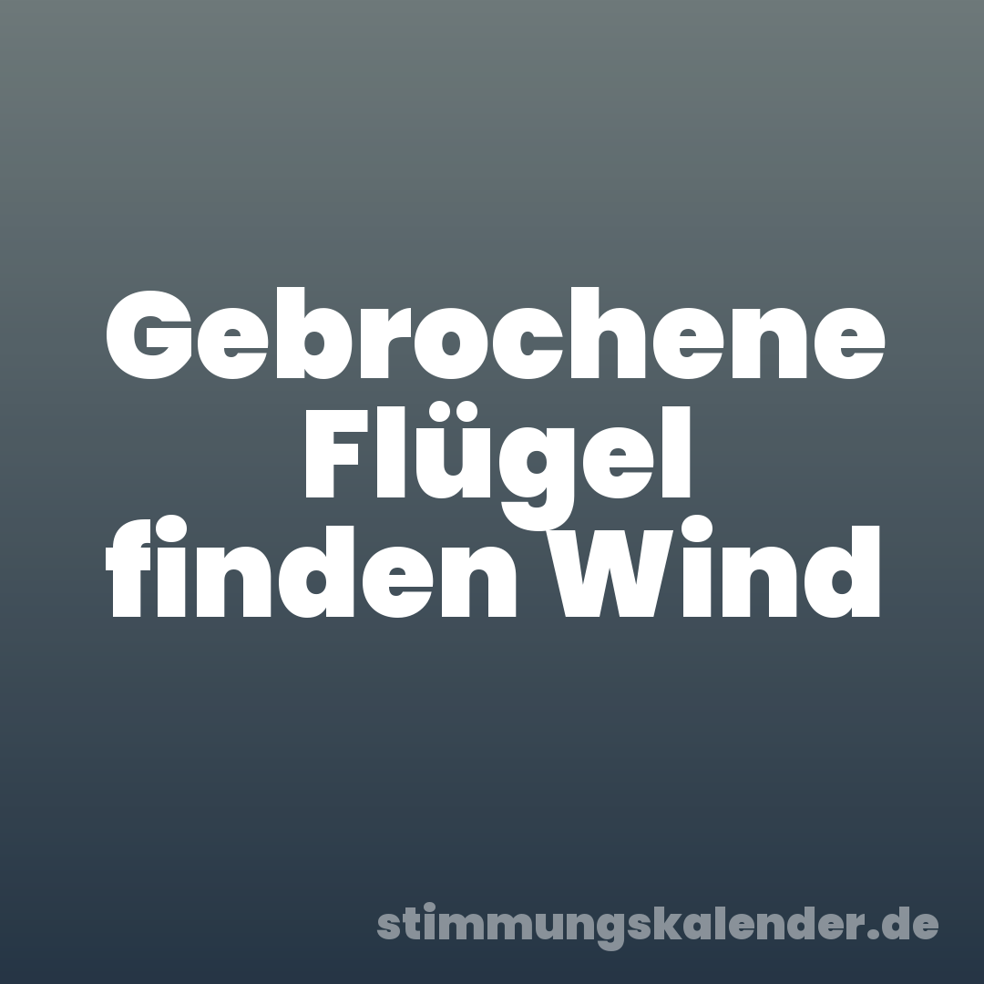Gebrochene Flügel finden Wind