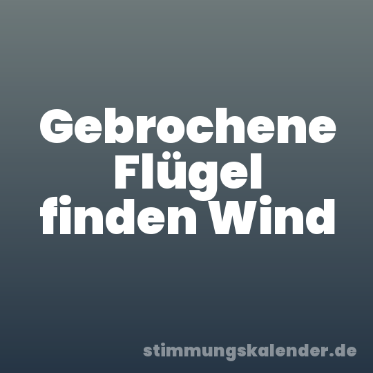 Gebrochene Flügel finden Wind