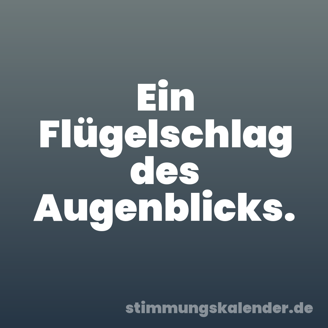 Ein Flügelschlag des Augenblicks.