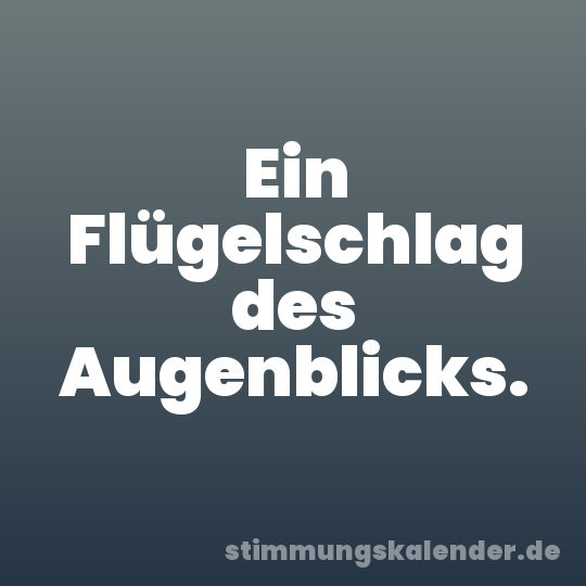 Ein Flügelschlag des Augenblicks.