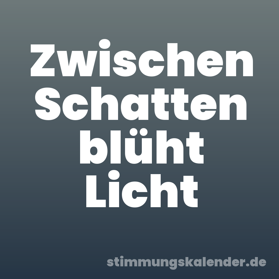 Zwischen Schatten blüht Licht