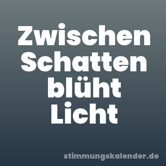 Zwischen Schatten blüht Licht