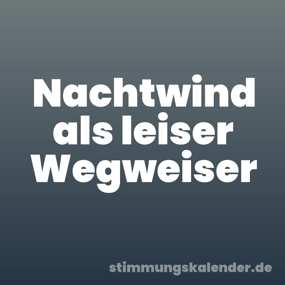 Nachtwind als leiser Wegweiser