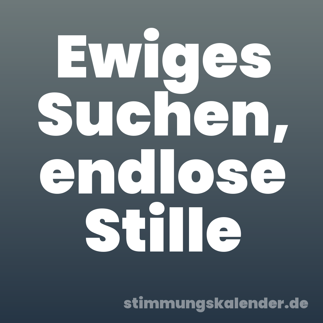 Ewiges Suchen, endlose Stille
