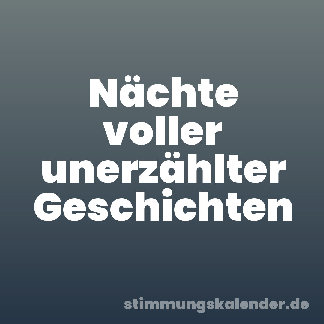 Nächte voller unerzählter Geschichten