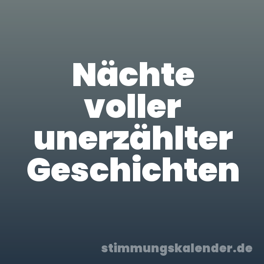 Nächte voller unerzählter Geschichten