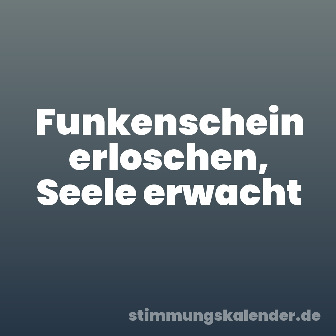 Funkenschein erloschen, Seele erwacht