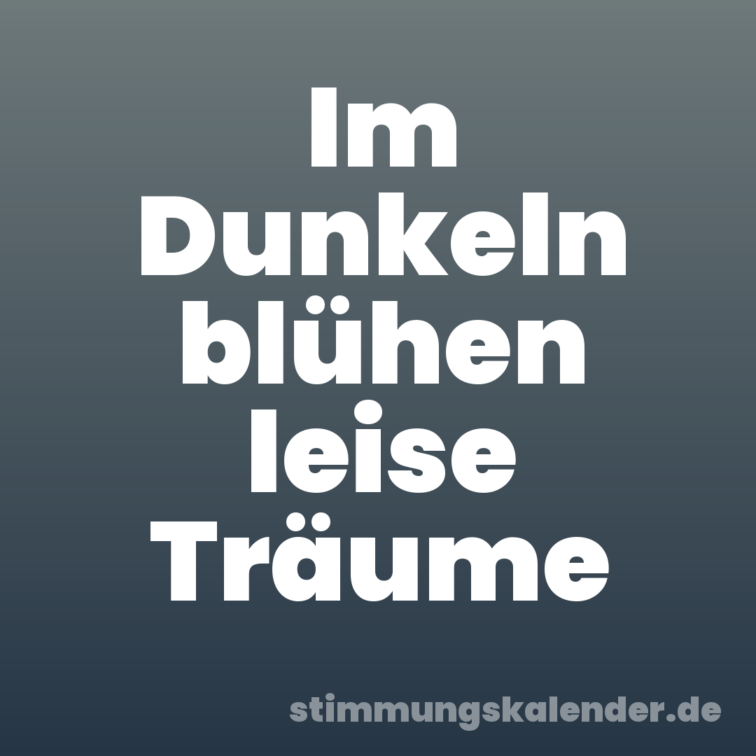 Im Dunkeln blühen leise Träume