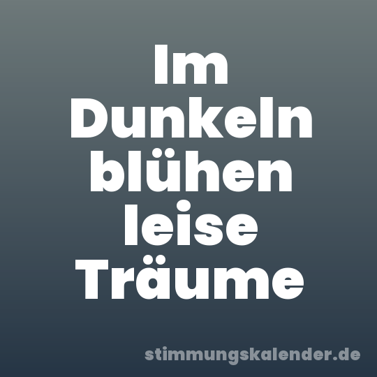 Im Dunkeln blühen leise Träume
