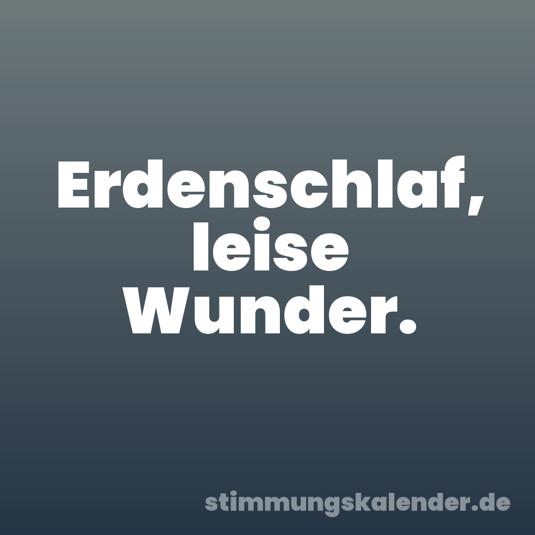 Erdenschlaf, leise Wunder.
