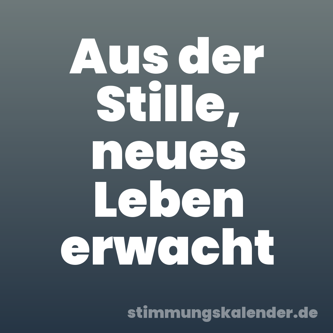 Aus der Stille, neues Leben erwacht