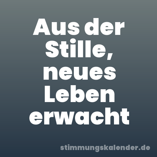 Aus der Stille, neues Leben erwacht