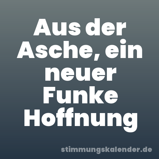 Aus der Asche, ein neuer Funke Hoffnung