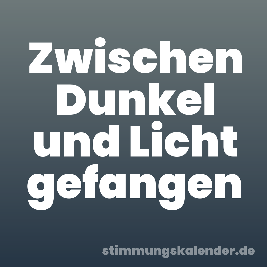 Zwischen Dunkel und Licht gefangen